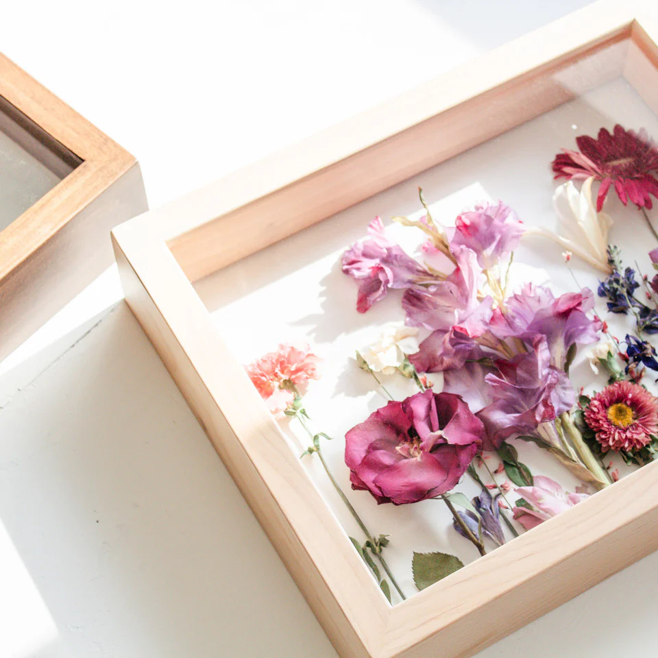 Shadow Boxes